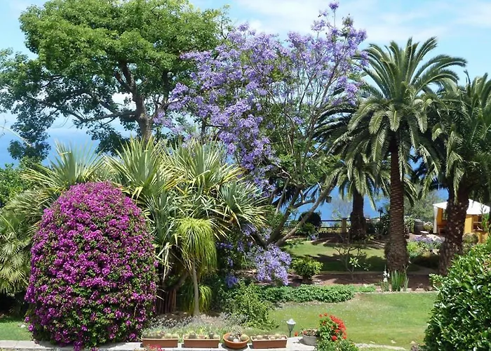 Gæstehus Finca Casa Vieja *