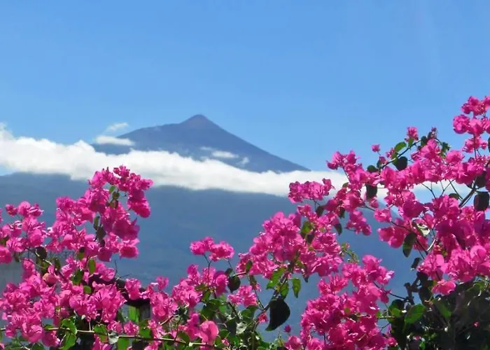 Gæstehus Finca Casa Vieja Santa Úrsula