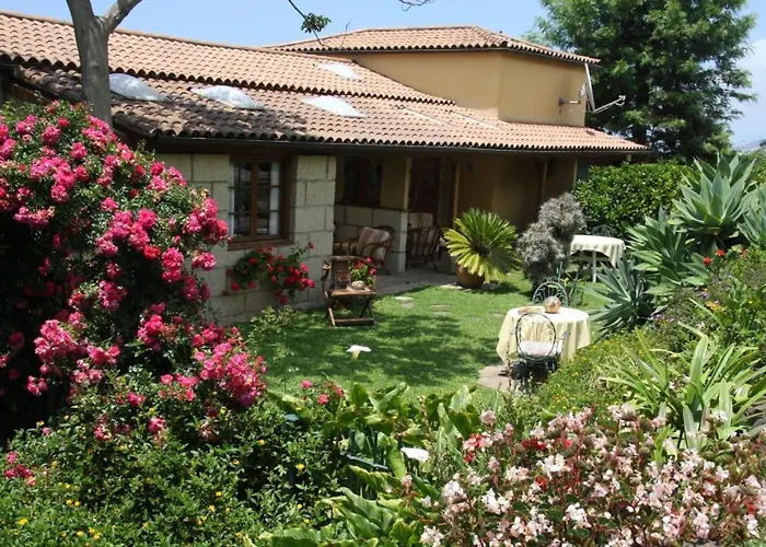 Finca Casa Vieja Gæstehus *